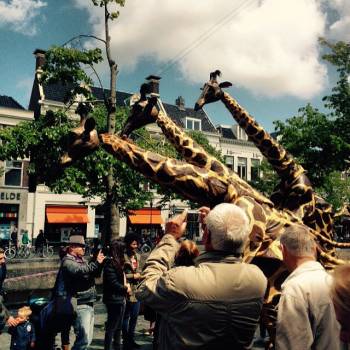 Fries Straatfestival