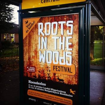 Roots in the Woods