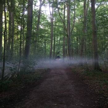 Bosfest | foto: peerthielen Bosfest