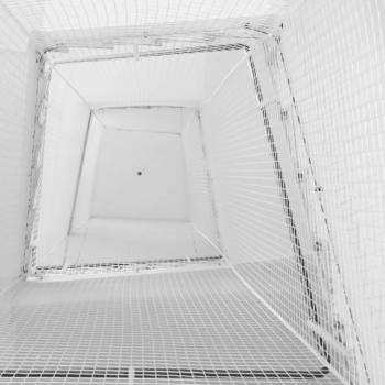 Spring | foto: nicksteur Spring