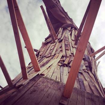 Hongerige Wolf | foto: sophievleeuwen Hongerige Wolf